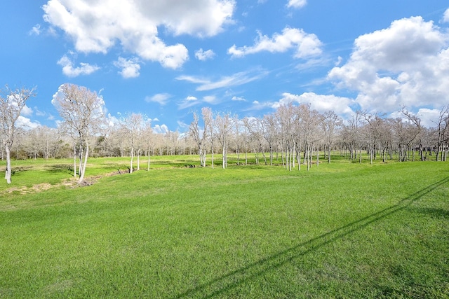 33010 Franklin Brooks Dr, Brookshire, TX 77423 - photo 42