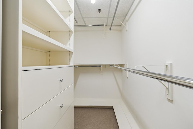5555 Del Monte Dr Unit 807, Houston, TX 77056 - photo 26