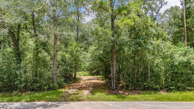 0 Holder Rambo Rd, Huffman, TX 77336 - photo 1