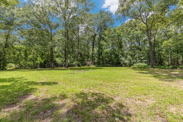 0 Holder Rambo Rd, Huffman, TX 77336 - photo 2
