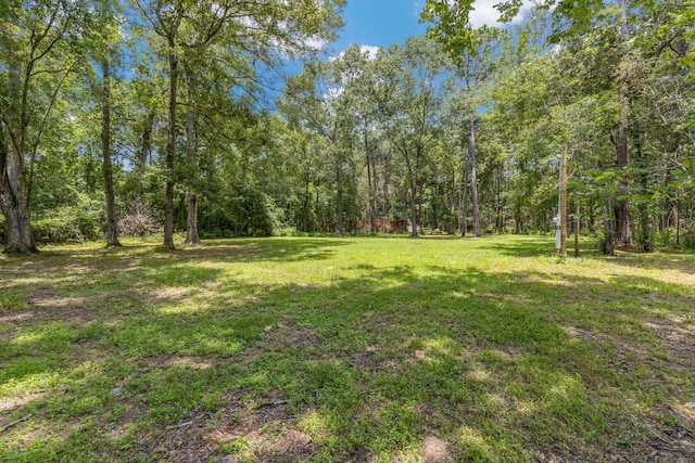 0 Holder Rambo Rd, Huffman, TX 77336 - photo 3