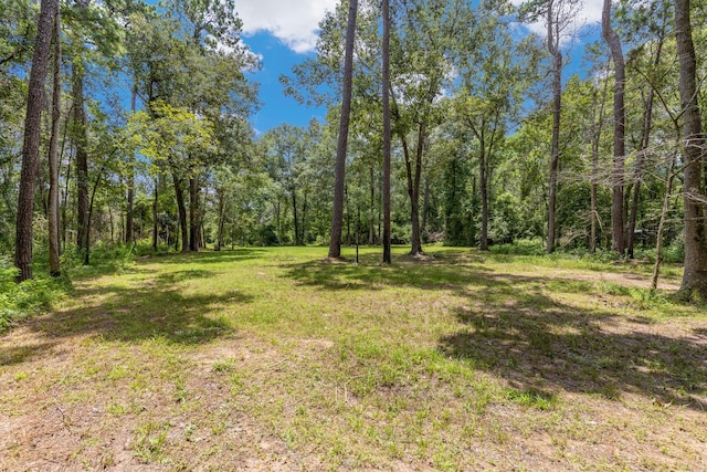 0 Holder Rambo Rd, Huffman, TX 77336 - photo 4