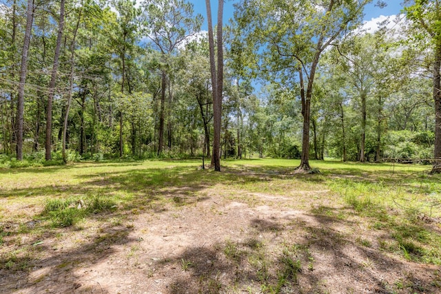 0 Holder Rambo Rd, Huffman, TX 77336 - photo 5