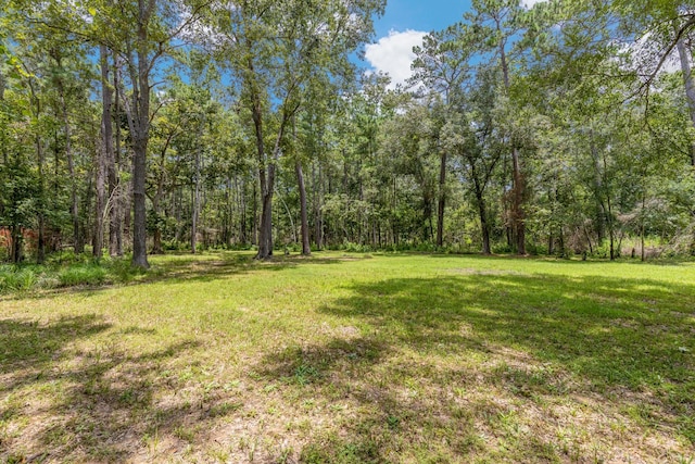0 Holder Rambo Rd, Huffman, TX 77336 - photo 6