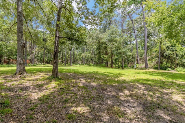 0 Holder Rambo Rd, Huffman, TX 77336 - photo 7