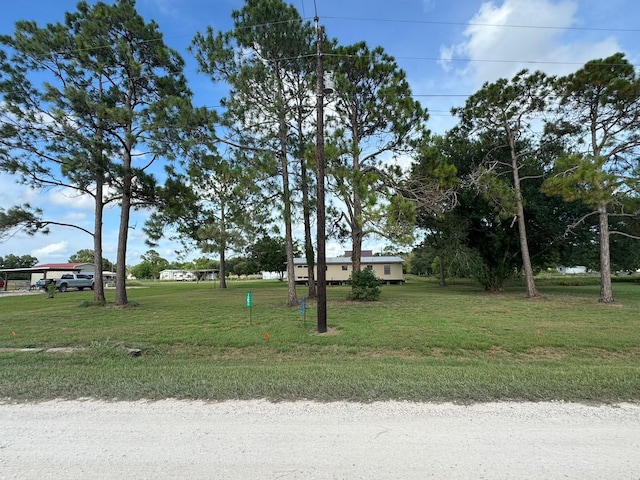 125 Tupelo S, Palacios, TX 77465 - photo 5