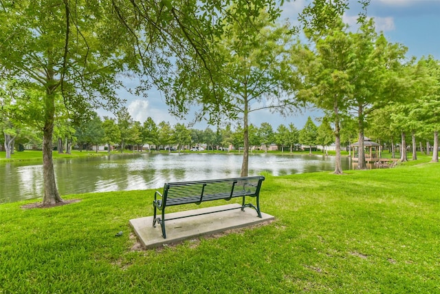 13006 Tall Spruce Dr, Cypress, TX 77429 - photo 44