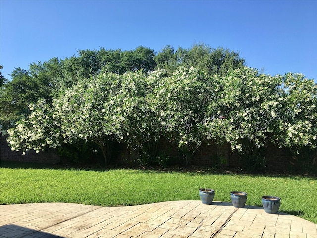 2302 Foster Leaf Ct, Richmond, TX 77406 - photo 47