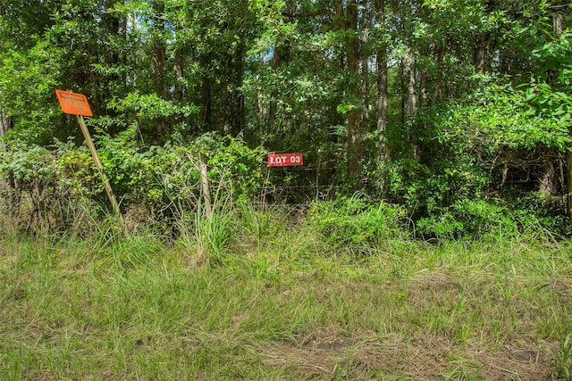 LOT3 Utley Rd, Huntsville, TX 77320 - photo 3
