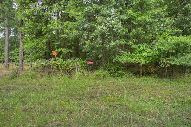 LOT3 Utley Rd, Huntsville, TX 77320 - photo 2