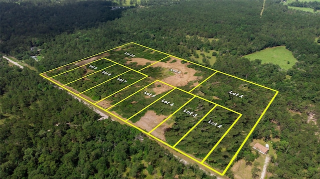 LOT3 Utley Rd, Huntsville, TX 77320 - photo 5