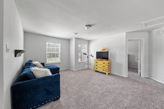 5872 Strawflower Ln, Montgomery, TX 77316 - photo 20