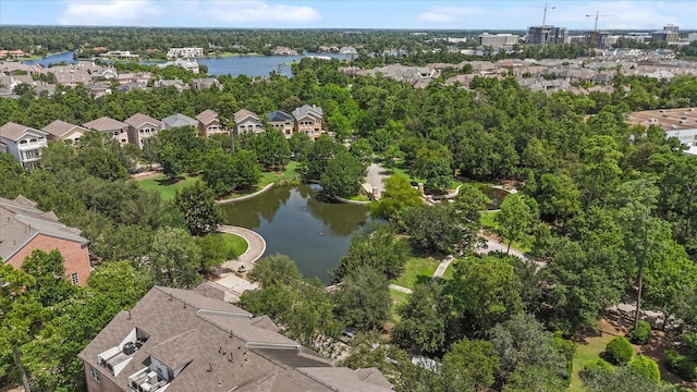 30 History Row, The Woodlands, TX 77380 - photo 41