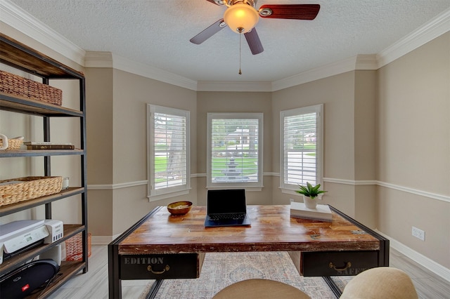 12536 Marina Loop, Willis, TX 77318 - photo 5