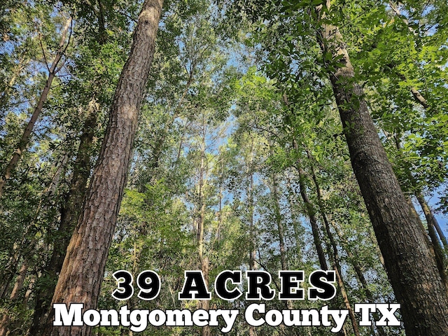TRACT39-A Catamaran Way, Montgomery, TX 77316 - photo 1