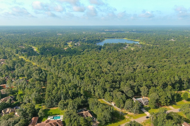 TRACT39-A Catamaran Way, Montgomery, TX 77316 - photo 2