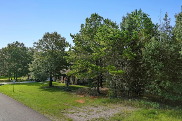 TRACT39-A Catamaran Way, Montgomery, TX 77316 - photo 3