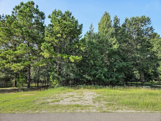 TRACT39-A Catamaran Way, Montgomery, TX 77316 - photo 10