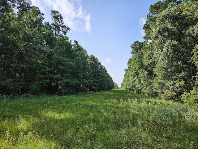TRACT39-A Catamaran Way, Montgomery, TX 77316 - photo 11