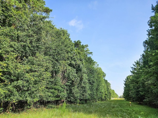 TRACT39-A Catamaran Way, Montgomery, TX 77316 - photo 17