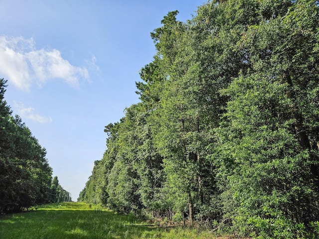 TRACT39-A Catamaran Way, Montgomery, TX 77316 - photo 20