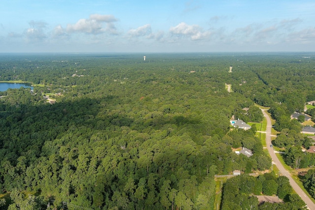 TRACT39-A Catamaran Way, Montgomery, TX 77316 - photo 22