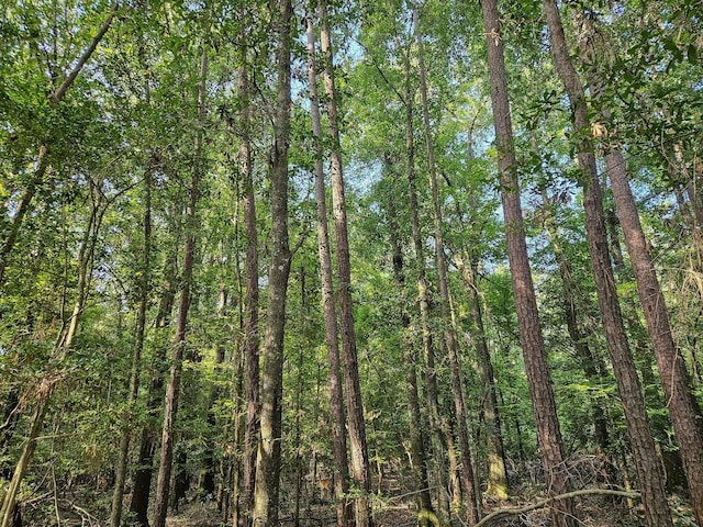TRACT39-A Catamaran Way, Montgomery, TX 77316 - photo 23