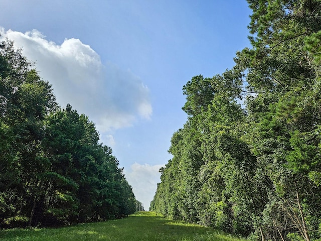 TRACT39-A Catamaran Way, Montgomery, TX 77316 - photo 25
