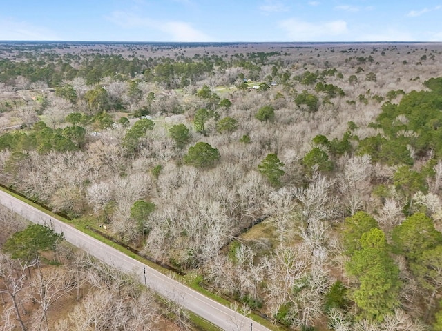 0000 County Road 401, Dayton, TX 77535 - photo 9