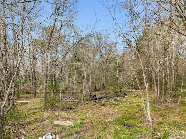 0000 County Road 401, Dayton, TX 77535 - photo 12