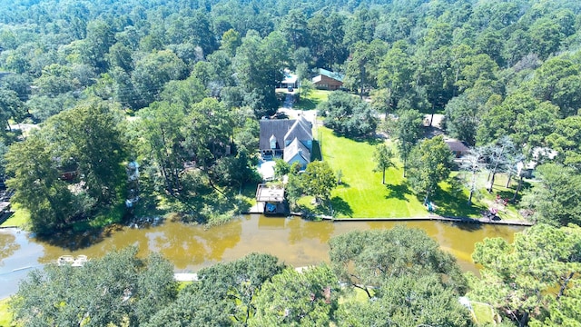 13392 Southshore Dr, Conroe, TX 77304 - photo 13