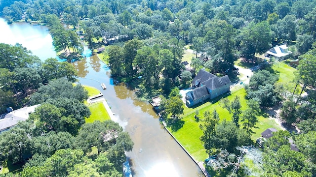 13392 Southshore Dr, Conroe, TX 77304 - photo 22
