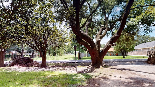 7302 Sandra St, Houston, TX 77028 - photo 3