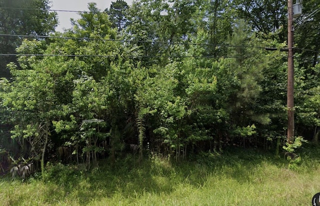 TBD White Oak Dr, Houston, TX 77336 - photo 1