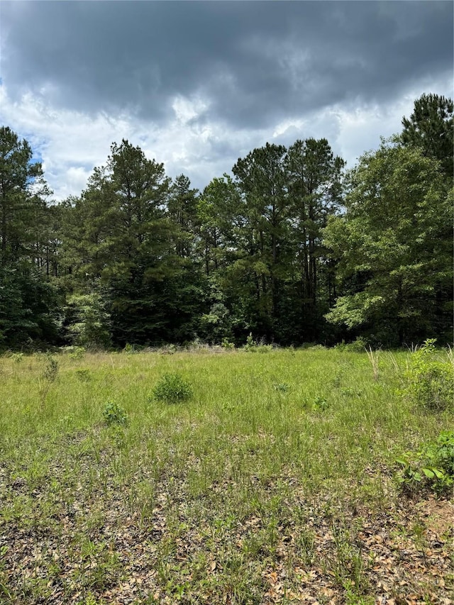 2511 County Road 4280, Woodville, TX 75979 - photo 1