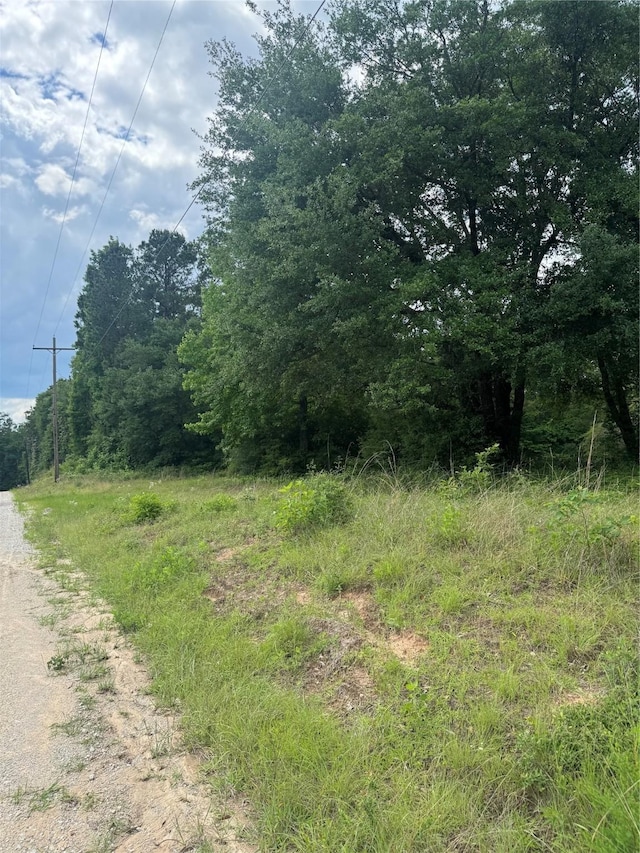 2511 County Road 4280, Woodville, TX 75979 - photo 2