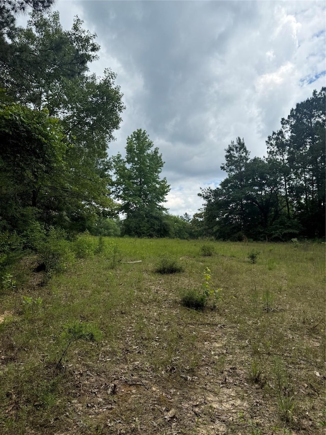 2511 County Road 4280, Woodville, TX 75979 - photo 3