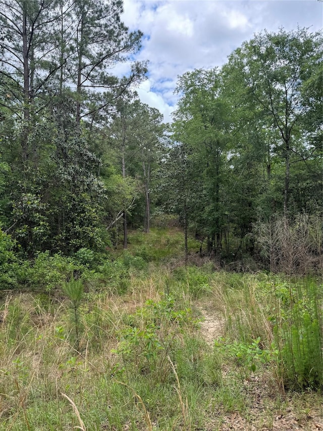 2511 County Road 4280, Woodville, TX 75979 - photo 5