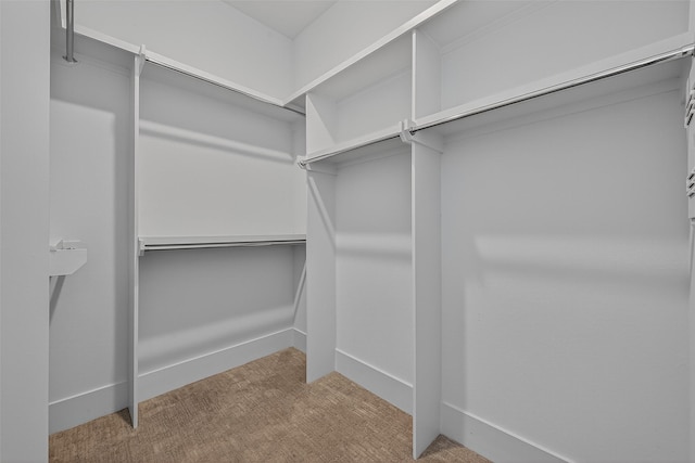 199 Waterpoint Ct Unit 304, Conroe, TX 77356 - photo 28