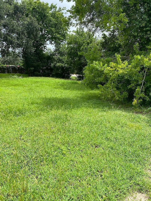 1121 Theresa St, Houston, TX 77051 - photo 2