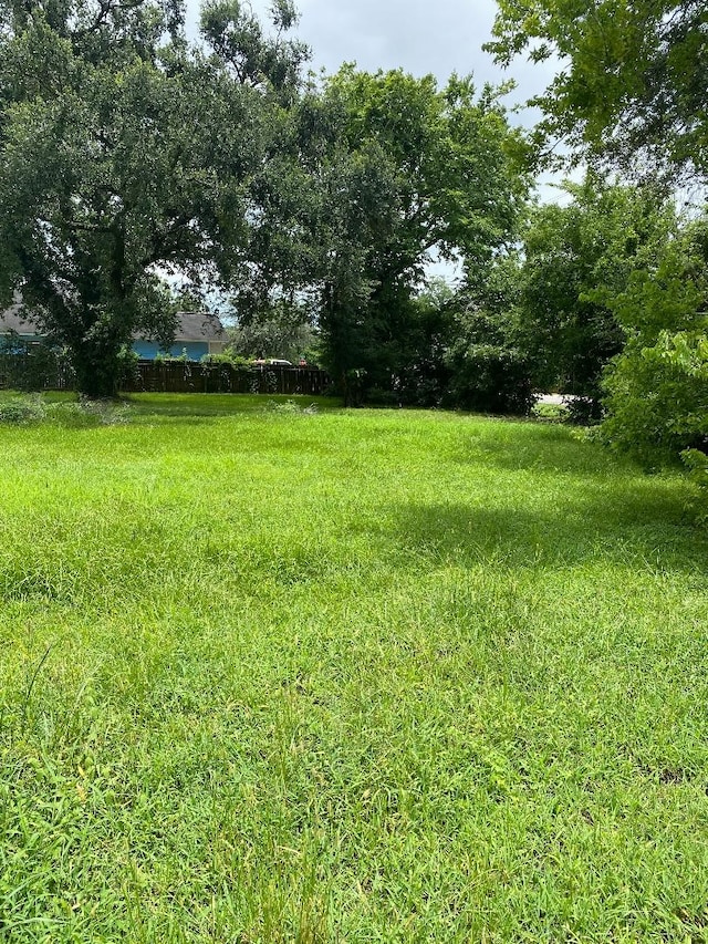 1121 Theresa St, Houston, TX 77051 - photo 3