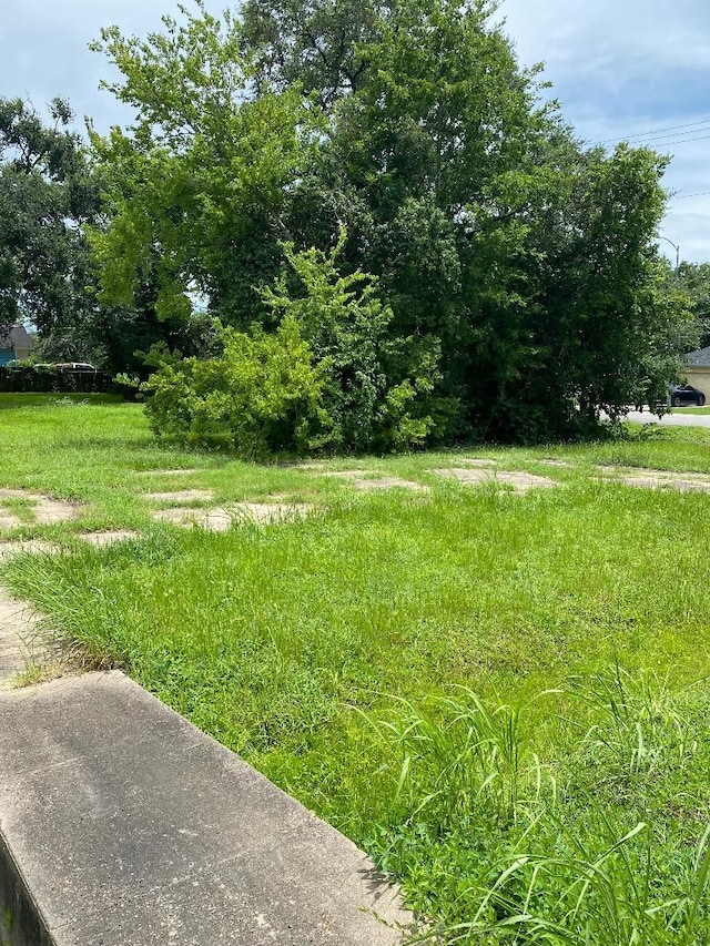 1121 Theresa St, Houston, TX 77051 - photo 6