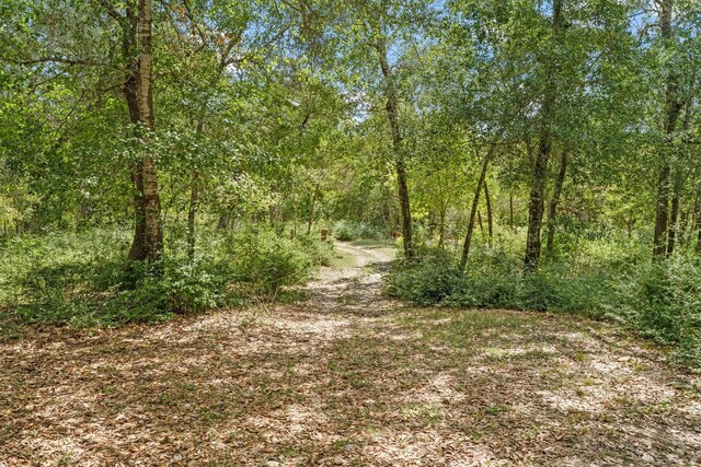 1016 High Hill Creek Rd, La Grange, TX 78945 - photo 43
