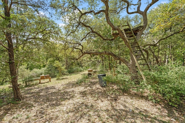 1016 High Hill Creek Rd, La Grange, TX 78945 - photo 44
