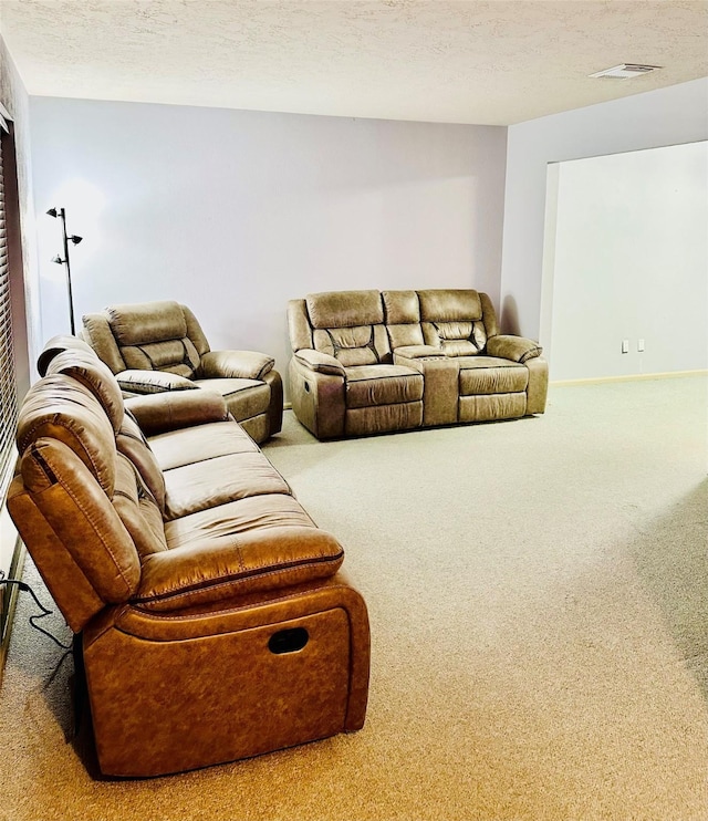 10207 Crooks Way Ct, Houston, TX 77065 - photo 27