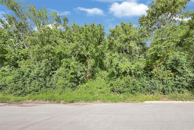 632 University Ave, Huntsville, TX 77320 - photo 23