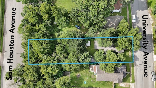 632 University Ave, Huntsville, TX 77320 - photo 29
