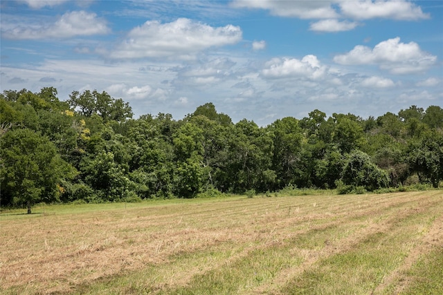 TBD Stern Rd, Chappell Hill, TX 77426 - photo 1