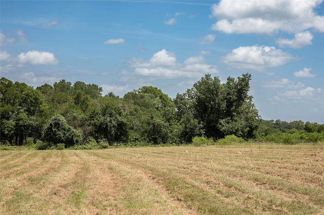 TBD Stern Rd, Chappell Hill, TX 77426 - photo 4
