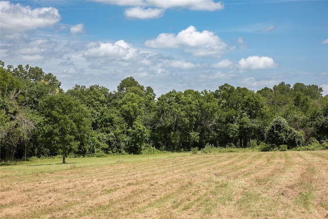TBD Stern Rd, Chappell Hill, TX 77426 - photo 5